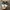 Adidas Skater Sneakers Pria white photo 3