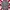 Fred Perry Casual Formal shirt Pria multicolor photo 1