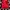 Columbia Gorpcore Track jacket Pria red photo 2