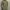 H&M Vintage Y2K Formal shirt Pria black yellow photo 1
