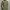 H&M Vintage Y2K Formal Shirt Pria Black Yellow
