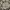Le Coq Sportif Vintage Hoody Pria gray photo 1