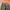 Indie Minimalist Pria green gray photo 8