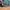 Indie Minimalist Pria green gray photo 7