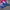 Adidas Sportswear Casual Track jacket Pria pink blue photo 5