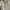 Nike Gorpcore T-shirt Pria white photo 1