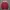 Nautica Vintage Streetwear Windbreaker Pria red yellow photo 3