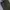 Uniqlo Vintage Streetwear Sweatpants & Joggers Pria green photo 2