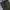 Uniqlo Vintage Streetwear Sweatpants & Joggers Pria Green