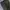 Uniqlo Vintage Streetwear Sweatpants & Joggers Pria green photo 6