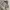 Vintage Streetwear Bomber jacket Pria cream photo 5