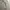 Vintage Streetwear Bomber jacket Pria cream photo 3