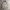 Vintage Streetwear Bomber jacket Pria cream photo 1