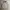 Vintage Streetwear Bomber Jacket Pria Cream