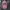 Stussy Streetwear Casual T-shirt Pria pink photo 4
