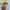 A Bathing Ape Streetwear Casual T-shirt Pria white photo 2