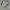 Columbia Sportswear Indie Bag Pria green photo 1
