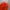 Streetwear Casual Skirt Wanita orange photo 3
