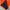 Streetwear Casual Skirt Wanita orange photo 4
