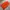 Streetwear Casual Skirt Wanita orange photo 2