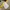 Casual T-shirt Pria white yellow photo 2
