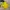 Sportswear Casual T-shirt Pria yellow photo 4