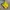 Sportswear Casual T-shirt Pria yellow photo 1
