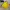 Sportswear Casual T-shirt Pria yellow photo 2