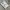 Casual T-shirt Pria white photo 1
