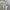 Isoos Studios Sportswear Casual Flare pants Wanita cream photo 2