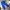 Sportswear Casual Sweatpants & Joggers Pria blue photo 3