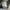 Dickies Luxury Sweatshirt Pria gray photo 5