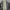 Nike Casual Sneakers Pria gray photo 4
