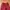 Sportswear Minimalist Tracksuit Pria red photo 7