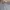 The North Face Casual Puffer jacket Pria gray photo 4