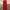 The North Face Streetwear Sportswear Casual pants Pria red photo 3