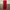 The North Face Streetwear Sportswear Casual pants Pria red photo 2