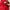 The North Face Streetwear Sportswear Casual pants Pria red photo 5