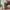 Fieldcore Sportswear Minimalist Sweatpants & Joggers Pria green photo 2