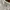 A Bathing Ape Streetwear T-shirt Pria white photo 5