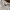 A Bathing Ape Streetwear T-shirt Pria white photo 6