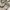 National Geographic Streetwear Sportswear Casual pants Pria cream photo 8