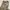 National Geographic Streetwear Sportswear Casual pants Pria cream photo 7