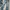 Levi's Streetwear Casual Jeans Pria White Blue