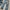 Levi's Streetwear Casual Jeans Pria white blue photo 4