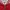 Vintage Windbreaker Pria white red photo 3