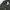 Stone Island Gorpcore Track jacket Pria black photo 4