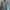 Muslim Prom dress Wanita multicolor photo 3