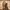 Dr. Martens Vintage Indie Boots Pria brown black photo 2