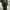 Luxury Minimalist Pria black photo 2